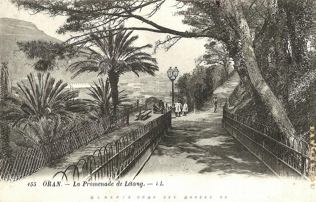 2024 02 09 ORAN - PROMENADE DE L ETANG.jpg